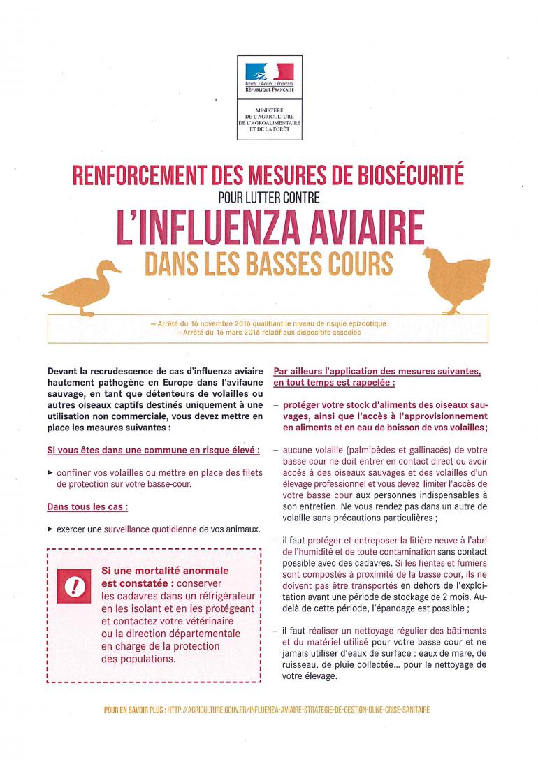 Influenza aviaire 